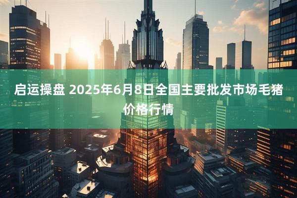 启运操盘 2025年6月8日全国主要批发市场毛猪价格行情