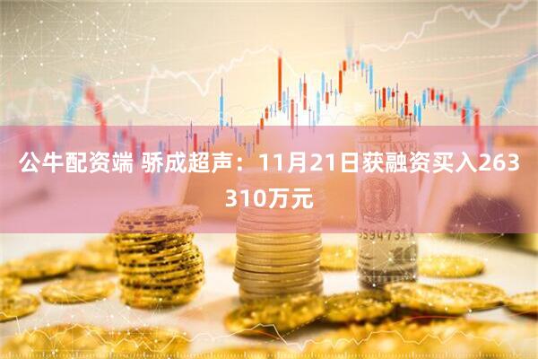 公牛配资端 骄成超声：11月21日获融资买入263310万元