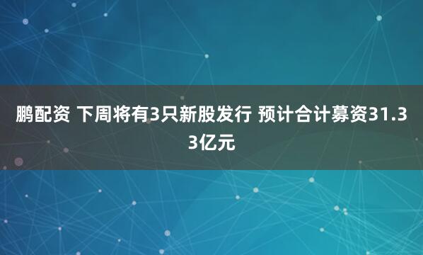 鹏配资 下周将有3只新股发行 预计合计募资31.33亿元