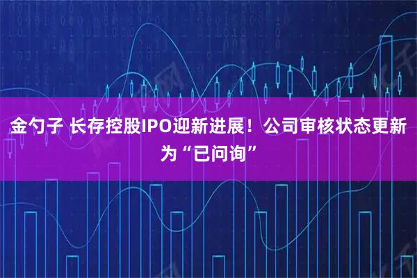 金勺子 长存控股IPO迎新进展!公司审核状态更新为“已问询”